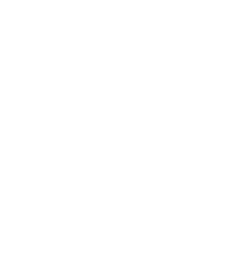 Michigan State University Cheer Clinics